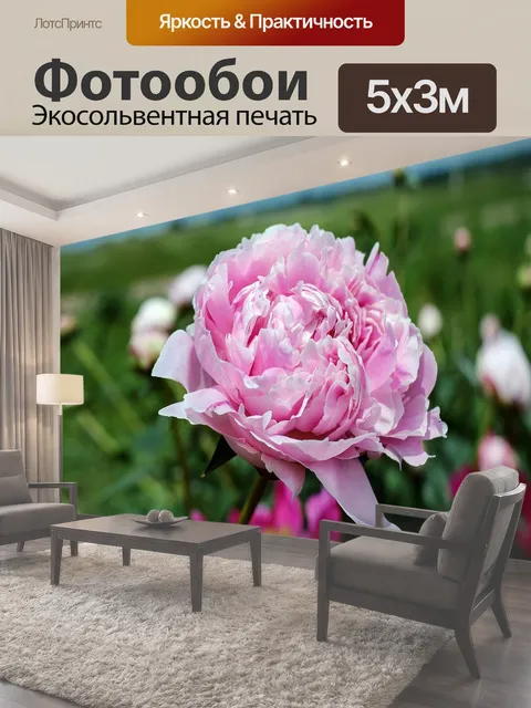 500 × 300 см · Экосольвентная печать