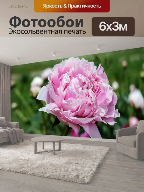 600 × 300 см · Экосольвентная печать