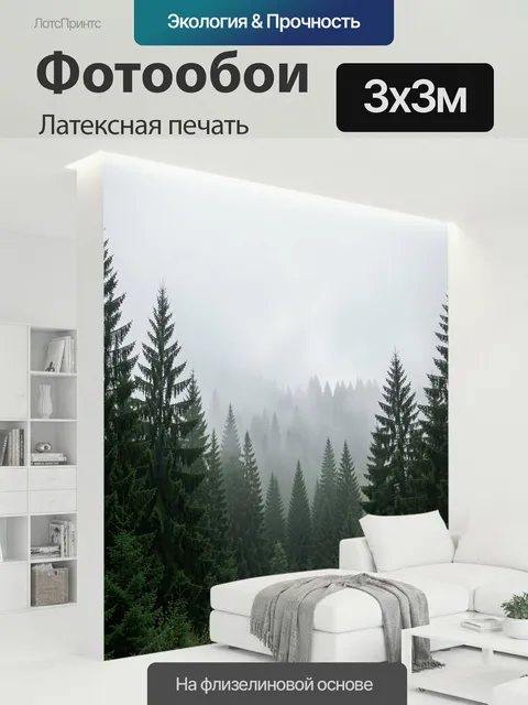 300 × 300 см · Латексная печать