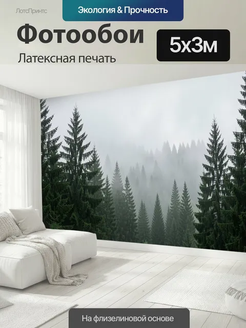 500 × 300 см · Латексная печать