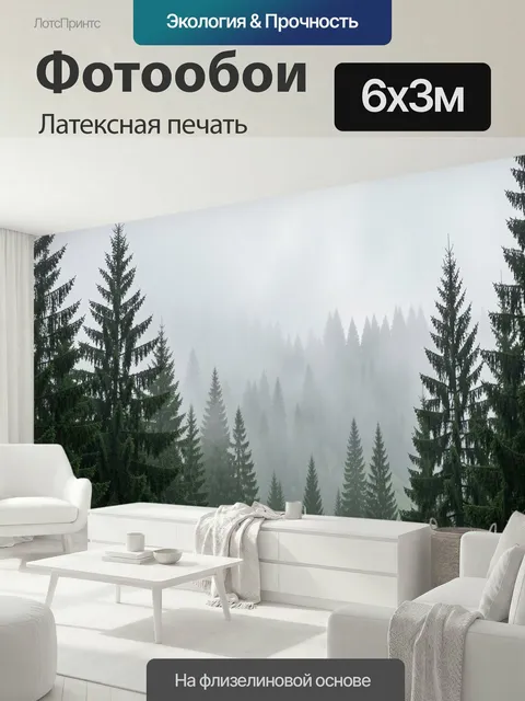 600 × 300 см · Латексная печать