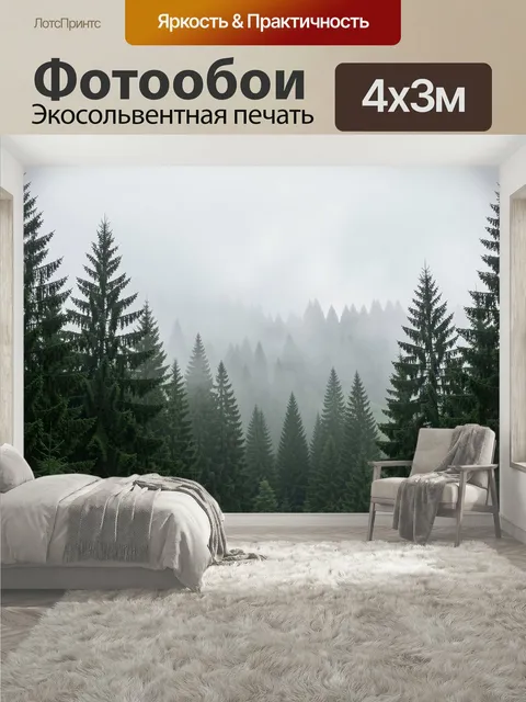 400 × 300 см · Экосольвентная печать