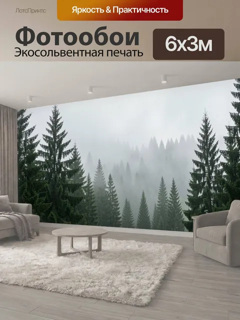 600 × 300 см · Экосольвентная печать