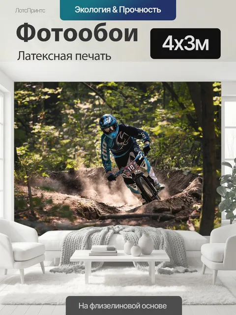 400 × 300 см · Латексная печать
