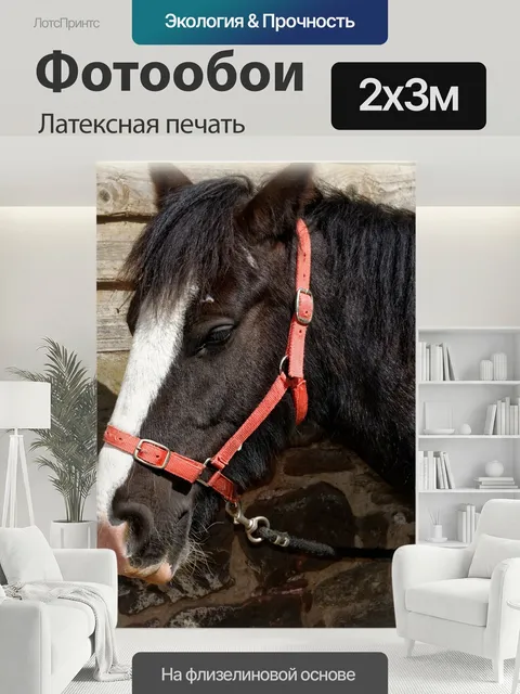 200 × 300 см · Латексная печать