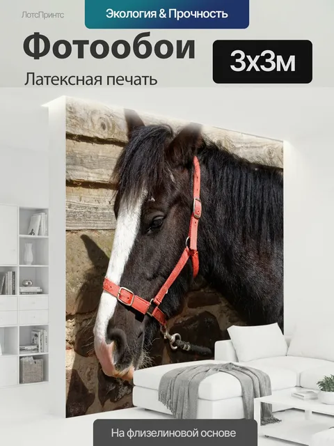 300 × 300 см · Латексная печать