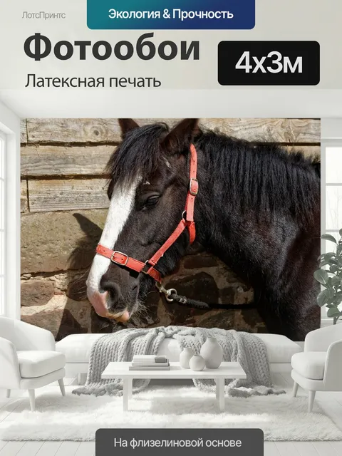 400 × 300 см · Латексная печать