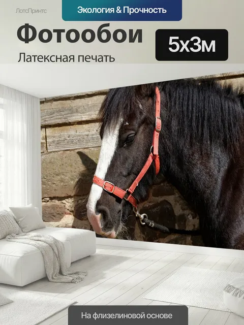 500 × 300 см · Латексная печать
