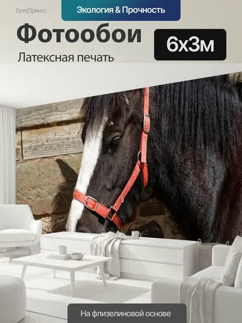 600 × 300 см · Латексная печать