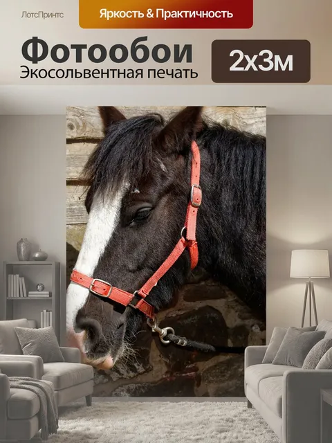 200 × 300 см · Экосольвентная печать