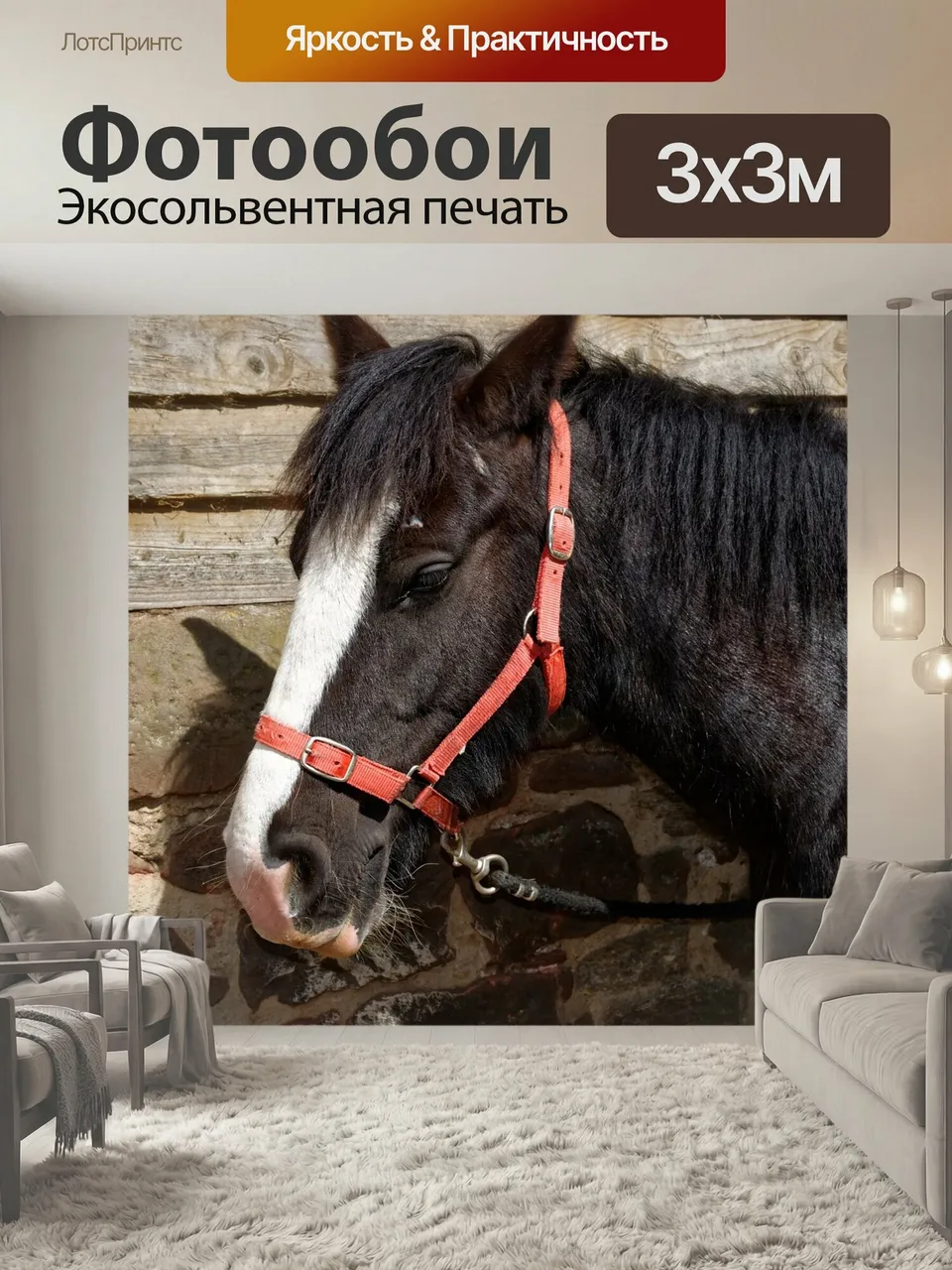 Фотообои Лошадь, уздечка, животное