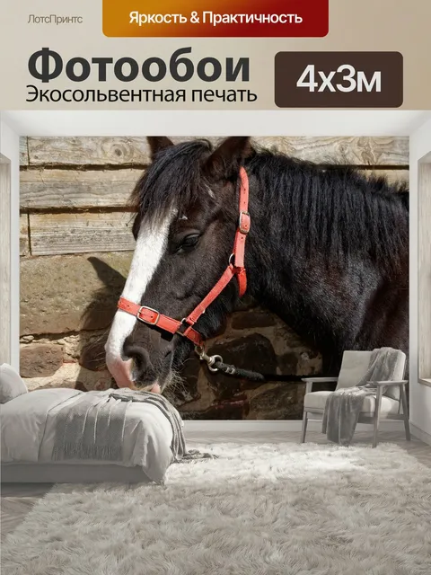 400 × 300 см · Экосольвентная печать