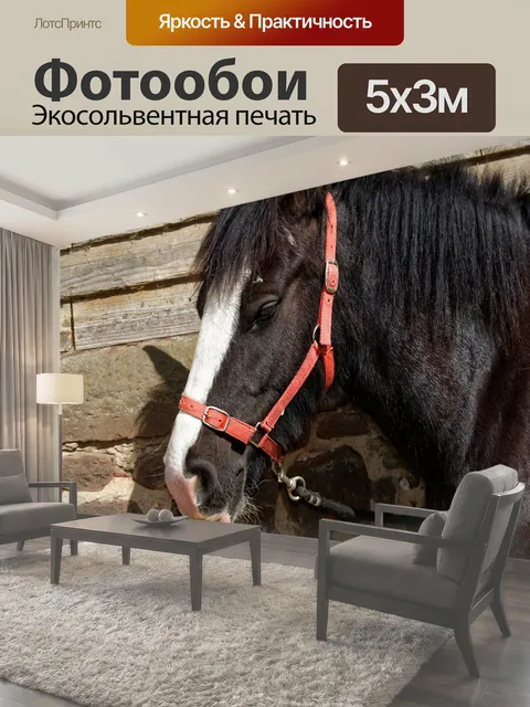 500 × 300 см · Экосольвентная печать