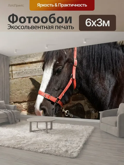 600 × 300 см · Экосольвентная печать