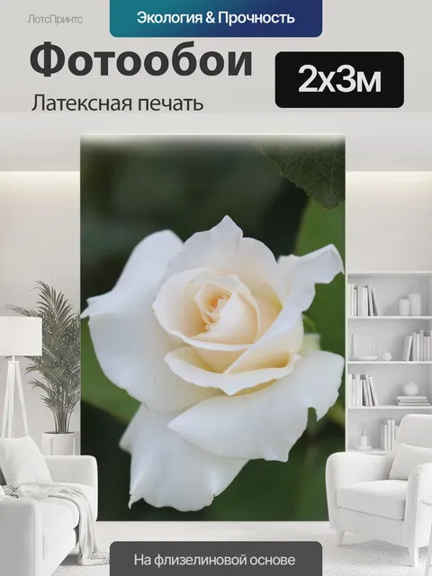200 × 300 см · Латексная печать