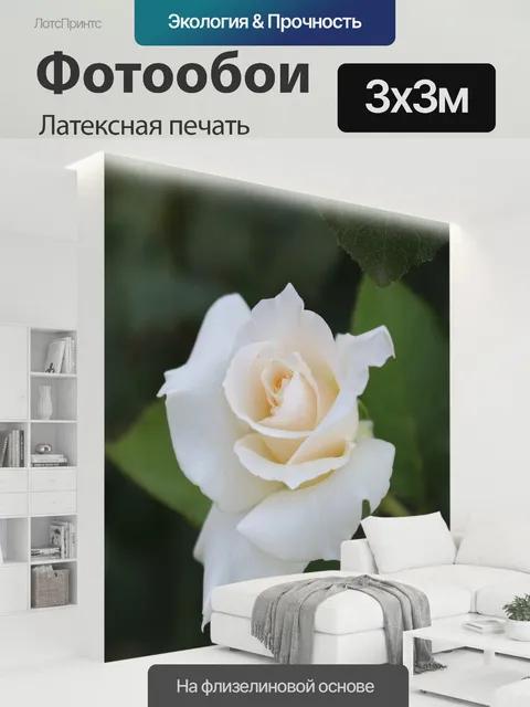 300 × 300 см · Латексная печать