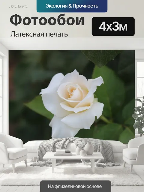 400 × 300 см · Латексная печать