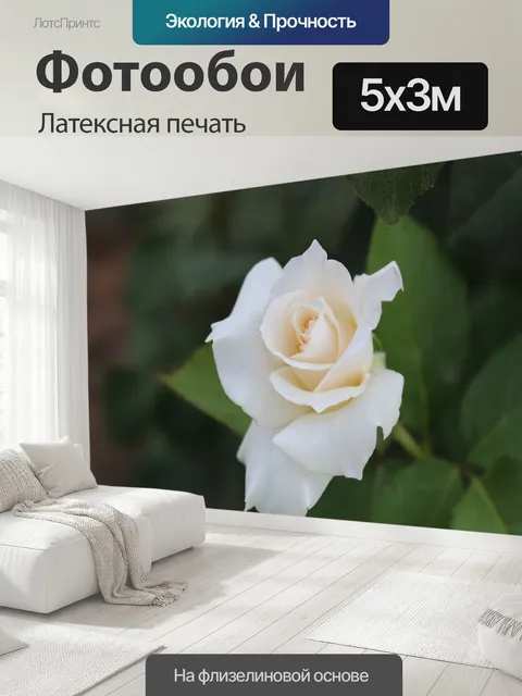 500 × 300 см · Латексная печать