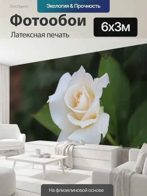 600 × 300 см · Латексная печать