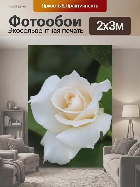 200 × 300 см · Экосольвентная печать