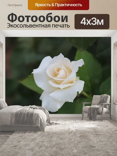 400 × 300 см · Экосольвентная печать