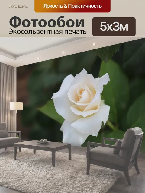 500 × 300 см · Экосольвентная печать