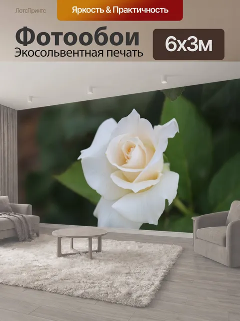 600 × 300 см · Экосольвентная печать