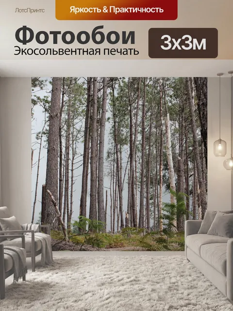 Фотообои Сосны, мадейра, лес