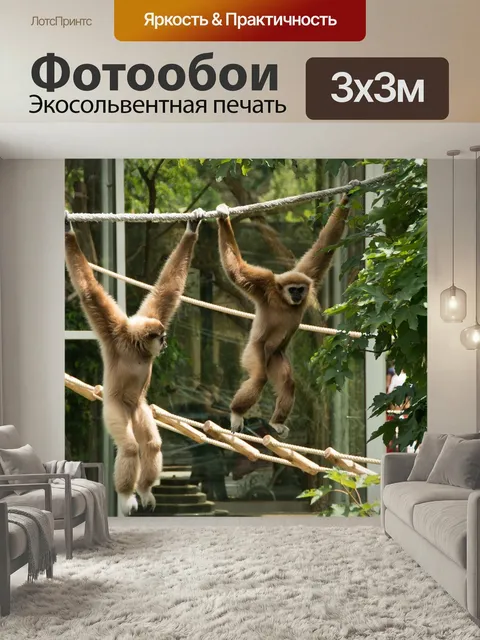 Фотообои Гиббон, обезьяна, белый