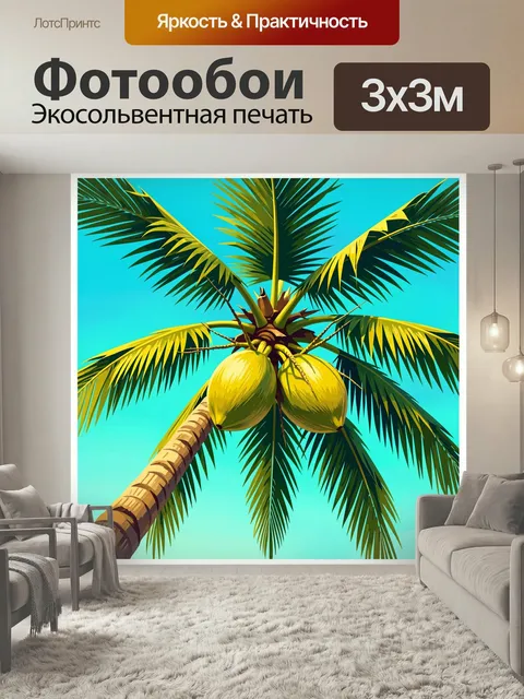 Фотообои Пальма с кокосами на бирюзовом небе. Тропическая крона с крупными плодами, раскидистые листья и яркий солнечн…