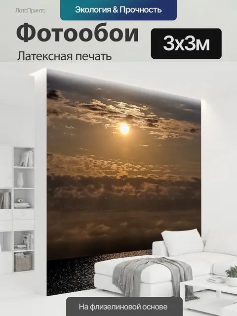 300 × 300 см · Латексная печать