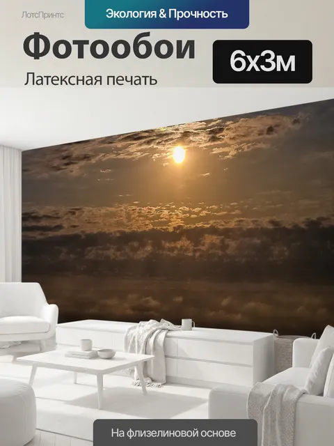 600 × 300 см · Латексная печать