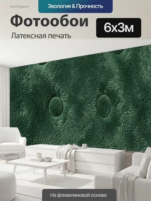 600 × 300 см · Латексная печать