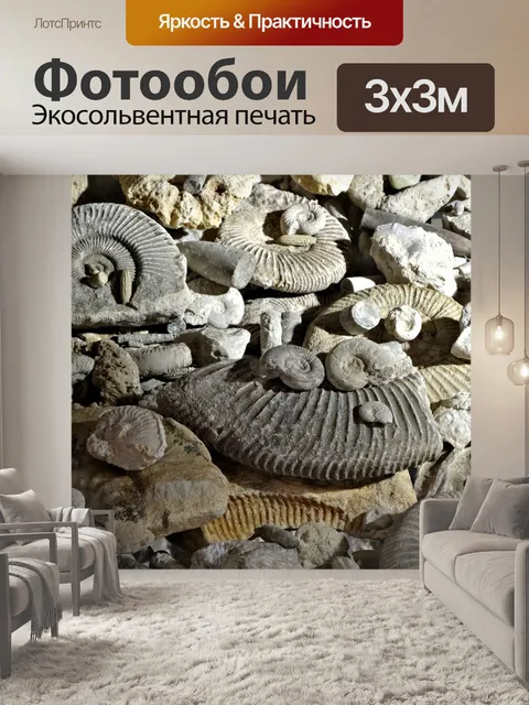 Фотообои Окаменелости, предыстория, аммониты