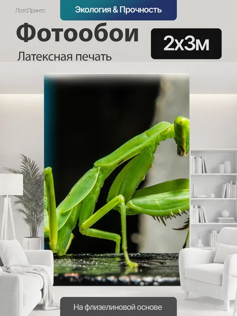 200 × 300 см · Латексная печать