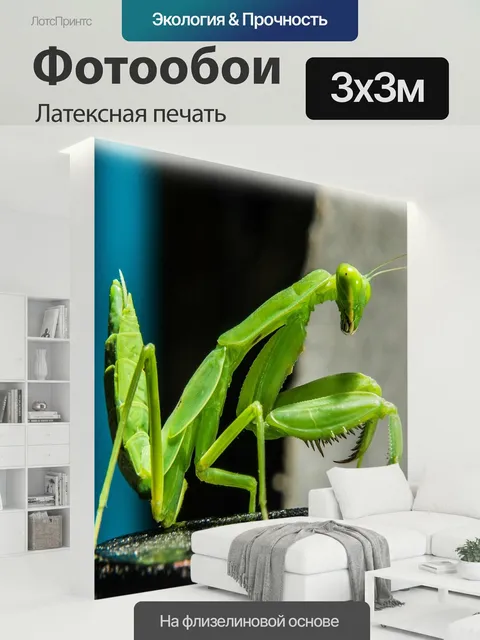 300 × 300 см · Латексная печать