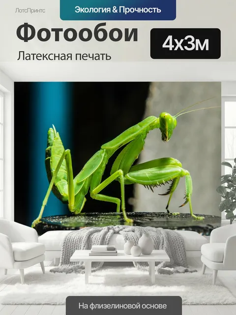 400 × 300 см · Латексная печать