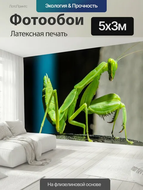 500 × 300 см · Латексная печать