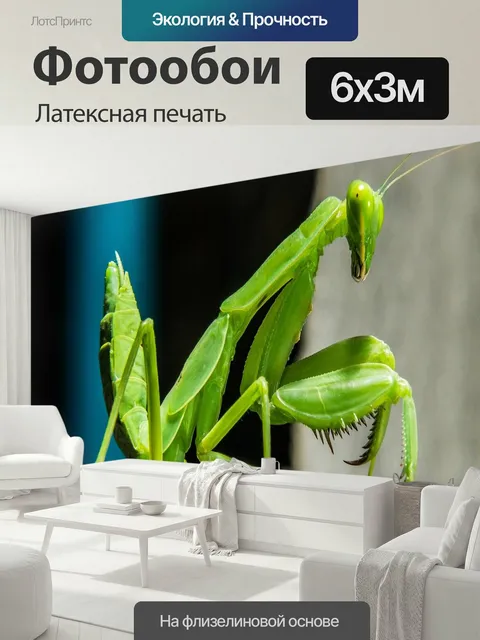 600 × 300 см · Латексная печать