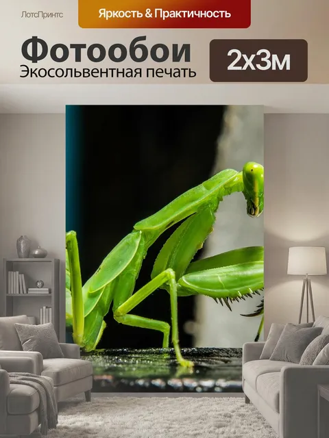200 × 300 см · Экосольвентная печать