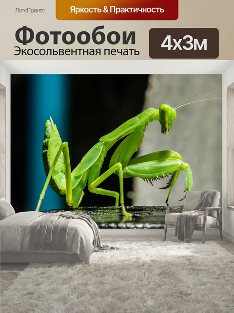 400 × 300 см · Экосольвентная печать
