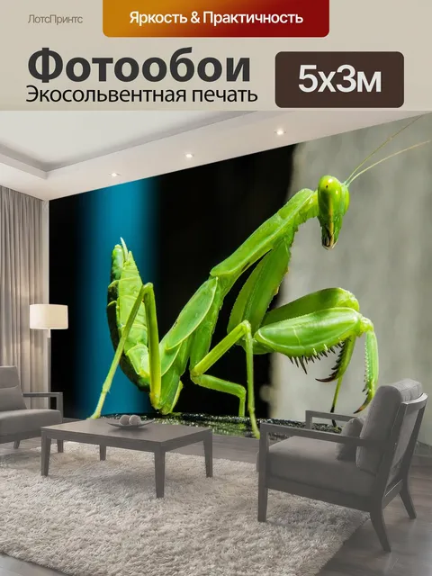 500 × 300 см · Экосольвентная печать