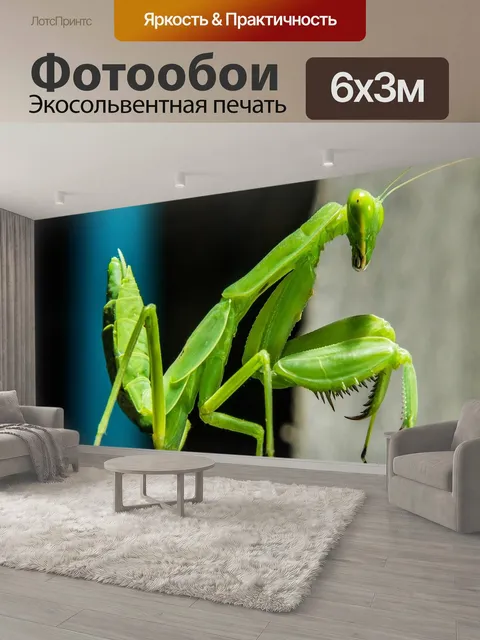 600 × 300 см · Экосольвентная печать