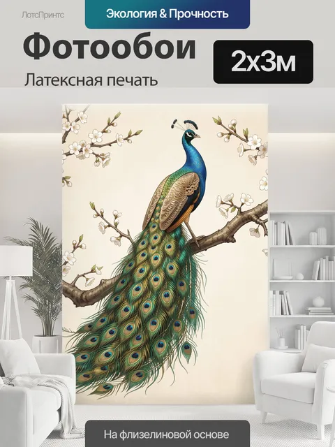 200 × 300 см · Латексная печать