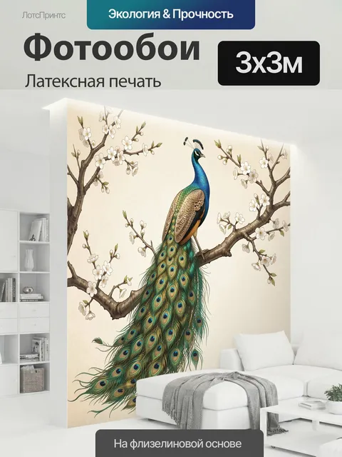 300 × 300 см · Латексная печать