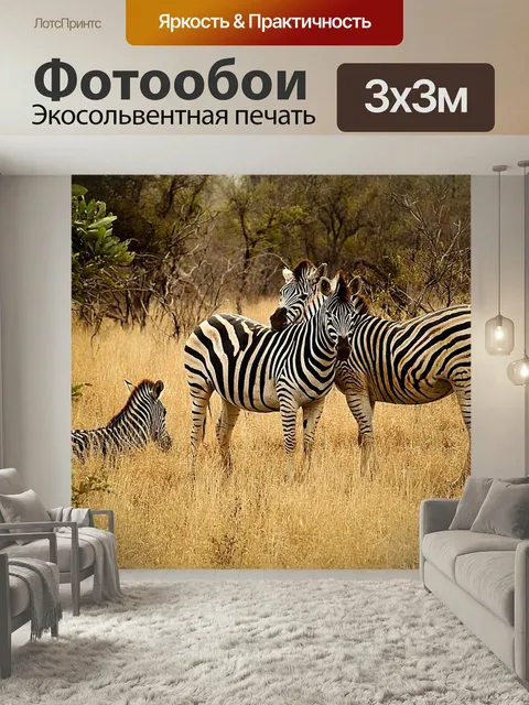Фотообои Зебры, группа, саванна