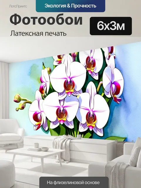 600 × 300 см · Латексная печать