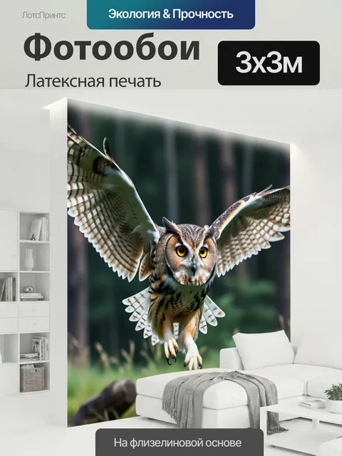 300 × 300 см · Латексная печать