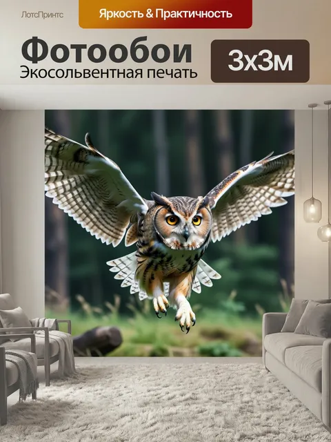 Фотообои Анималистика: сова в полете