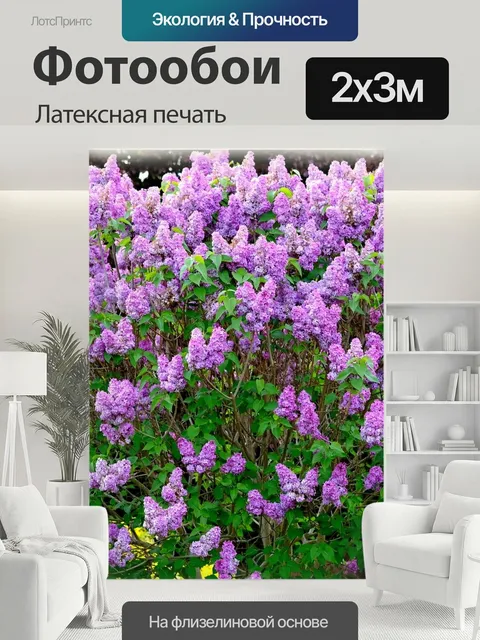 200 × 300 см · Латексная печать